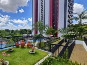 Jardim