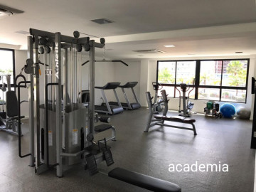 Academia