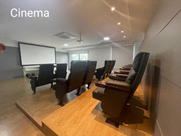 Cinema
