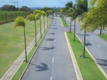Pavimentaes/Alamedas